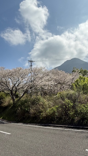 Michele's teenagers enjoying the Kagoshima tour