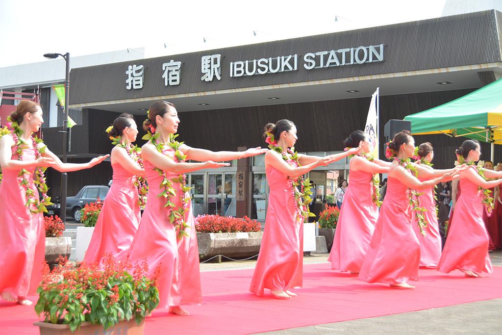 Ibusuki Hula Festival 2026