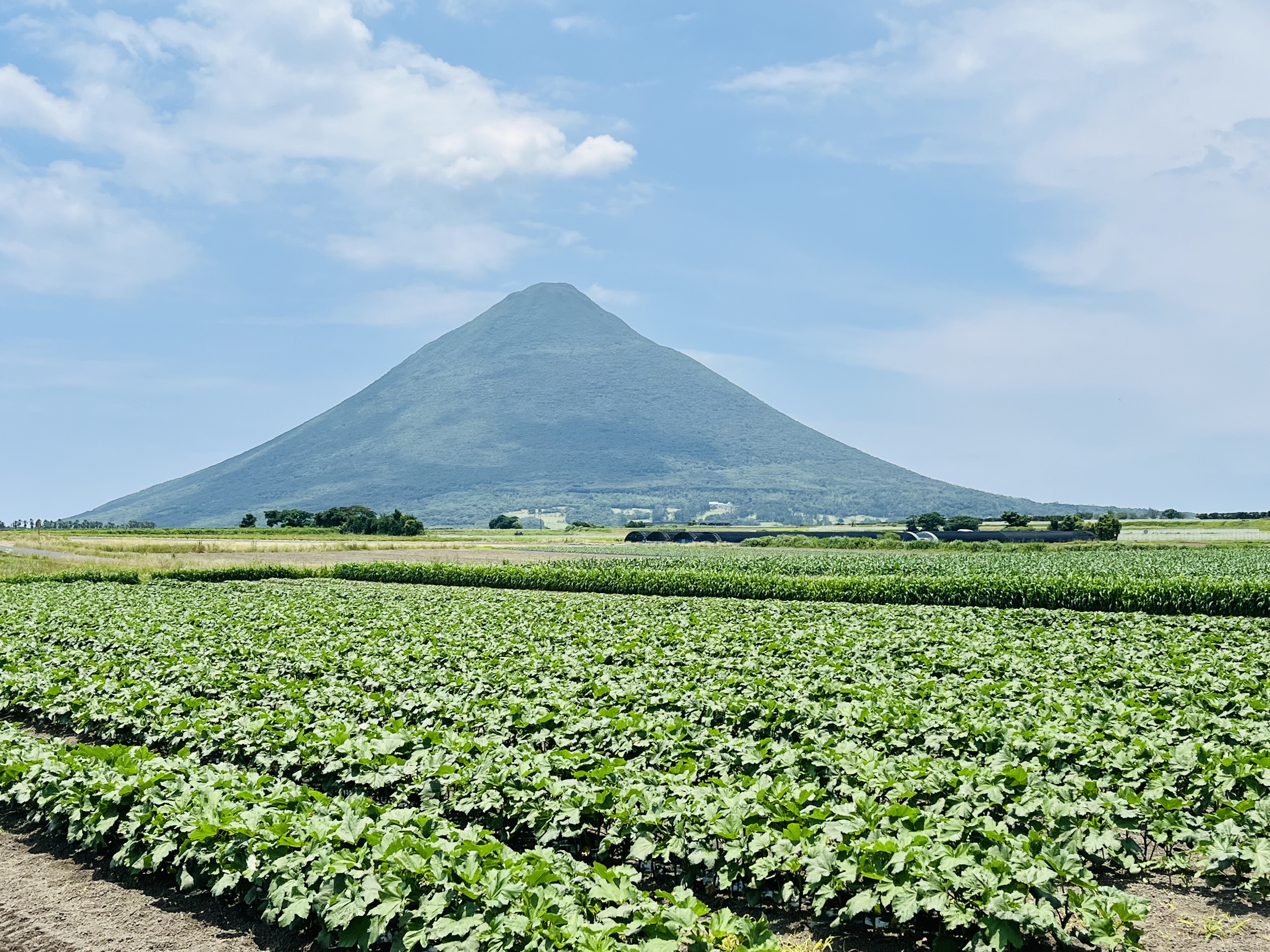 Scenery of Mount Kaimon